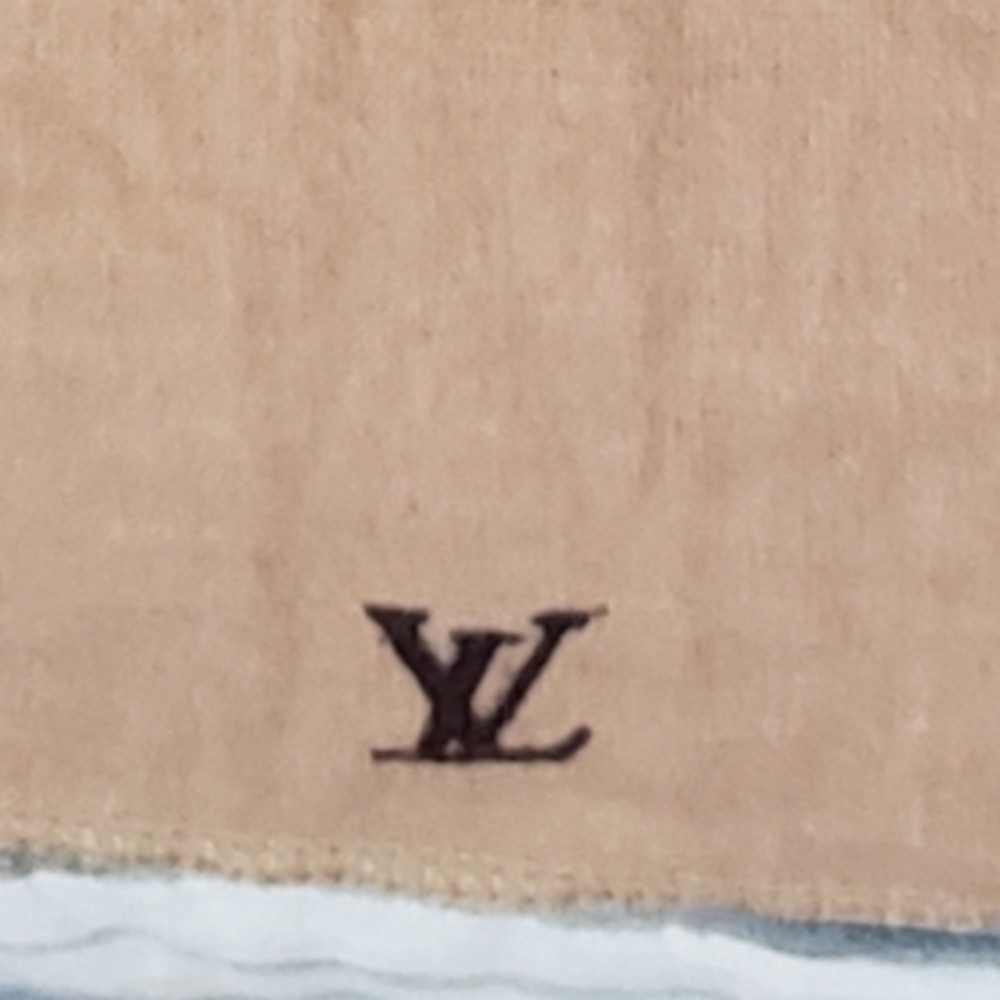 AUTHENTIC Louis Vuitton dust bag
